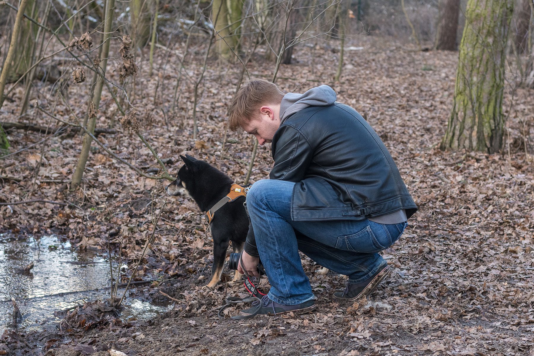 Profilbild