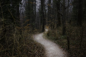 Waldweg
